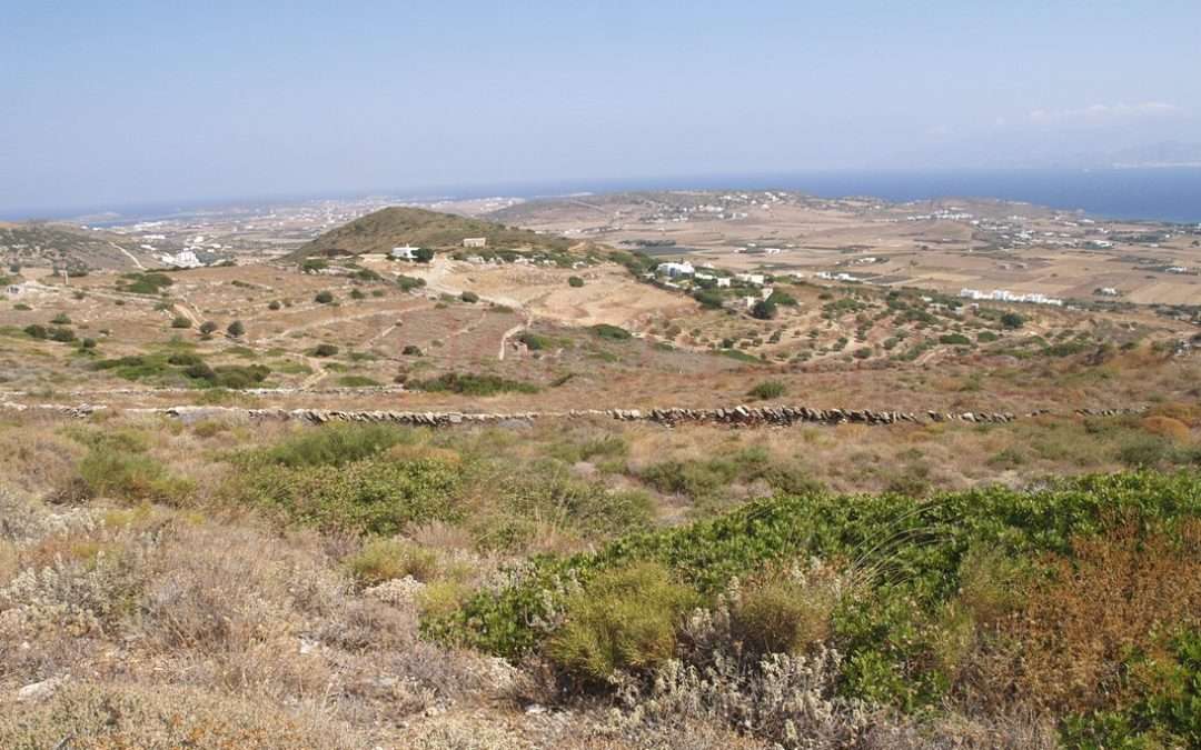Γ302 | ΑΓΡΟΤΕΜΑΧΙΟ ΜΕ ΥΠΕΡΟΧΗ ΘΕΑ(ΑΠΟΣΥΡΘΗΚΕ)