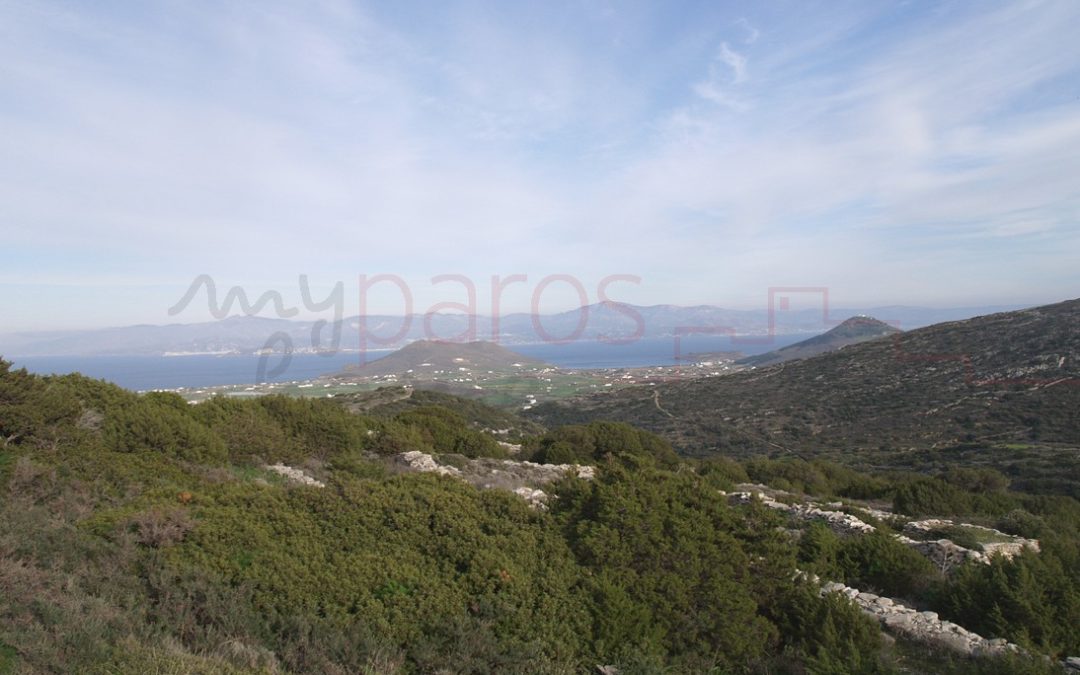 Γ334 | ΑΓΡΟΤΕΜΑΧΙΟ ΣΤΗ ΘΕΣΗ ‘’ΜΥΛΟΣ ΠΑΠΑΝΙΚΟΛΑ’’ ΛΕΥΚΩΝ