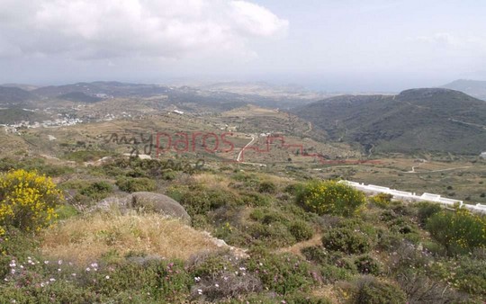 Γ319 ΑΓΡΟΤΕΜΑΧΙΟ ΣΤΗ ΘΕΣΗ’’ΣΤΡΟΥΜΠΟΥΛΑΣ’’ΛΕΥΚΩΝ
