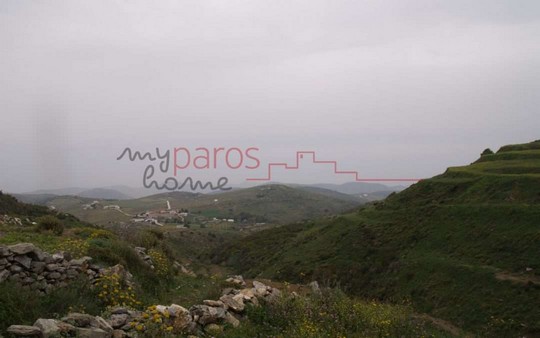 Γ315  ΑΓΡΟΤΕΜΑΧΙΑ ΣΤΗ ΘΕΣΗ ‘’ΘΑΨΑΝΑ’’ΛΕΥΚΩΝ