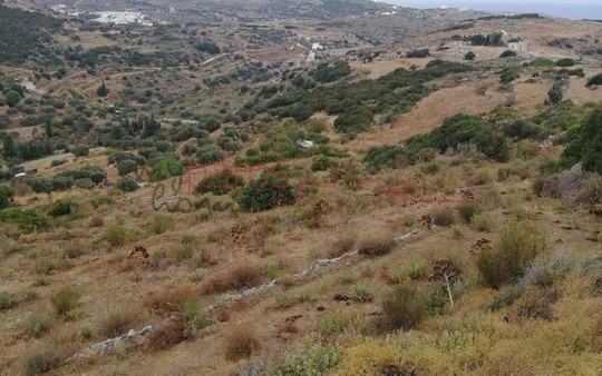 Γ 363 ΑΓΡΟΤΕΜΑΧΙΟ ΣΤΗΝ ΘΕΣΗ ‘’ΑΓ ΙΩΑΝΝΗΣ-ΘΕΟΛΟΓΟΣ’’ -ΛΕΥΚΩΝ(SOLD)