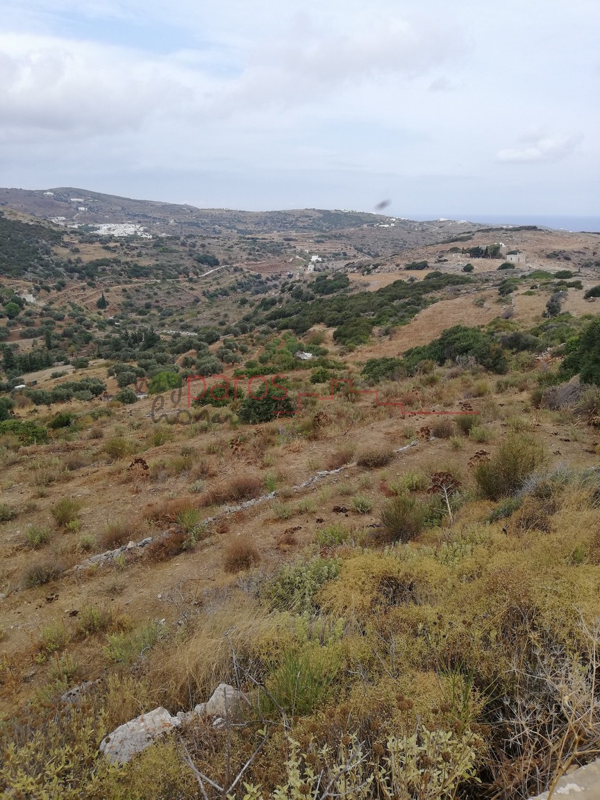 Γ 363 ΑΓΡΟΤΕΜΑΧΙΟ ΣΤΗΝ ΘΕΣΗ ‘’ΑΓ ΙΩΑΝΝΗΣ-ΘΕΟΛΟΓΟΣ’’ -ΛΕΥΚΩΝ(SOLD)