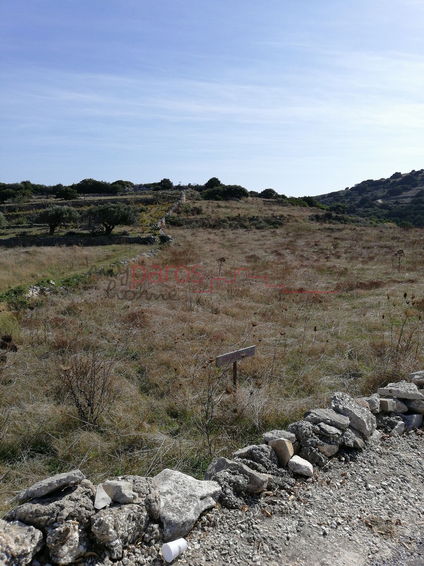 Γ 364   ΑΓΡΟΤΕΜΑΧΙΟ ΣΤΗΝ ΘΕΣΗ ‘’ΑΓ ΑΝΑΡΓΥΡΟΙ’’ΚΩΣΤΟΥ-ΠΑΡΟΥ
