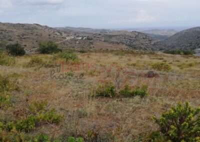 Γ374 ΑΜΠΕΛΙ  ΑΡΤΙΟ & ΟΙΚΟΔΟΜΗΣΙΜΟ ΣΤΗΝ  ‘’ΑΓ ΚΥΡΙΑΚΗ’’ΛΕΥΚΩΝ –ΠΑΡΟΥ.