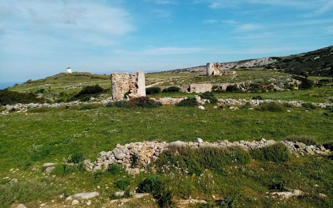Γ 377  ΑΓΡΟΤΕΜΑΧΙΟ ΣΤΗΝ ΘΕΣΗ ‘’ΑΝΕΜΟΜΥΛΟΙ’’ ΛΕΥΚΕΣ-ΠΑΡΟΥ