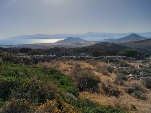 Γ 397 ΑΓΡΟΤΕΜΑΧΙΟ ΣΤΗΝ ΘΕΣΗ ‘’ΒΙΓΛΑ’’ ΛΕΥΚΩΝ ΠΑΡΟΥ(SOLD)
