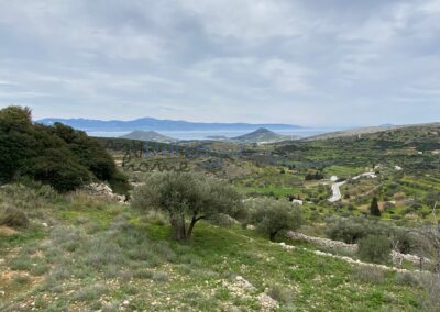 Γ 413  ΑΓΡΟΤΕΜΑΧΙΟ ΣΤΗΝ ΘΕΣΗ ‘’ΚΑΝΟΥ’’ ΛΕΥΚΕΣ ΠΑΡΟΣ