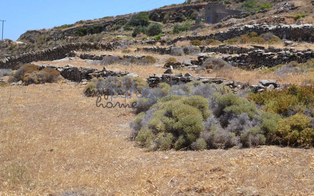 Γ 434   ΑΓΡΟΤΕΜΑΧΙΟ ΣΤΗΝ ΘΕΣΗ ‘’ΛΕΙΒΑΔΑ’’ΛΕΥΚΕΣ ΠΑΡΟΣ