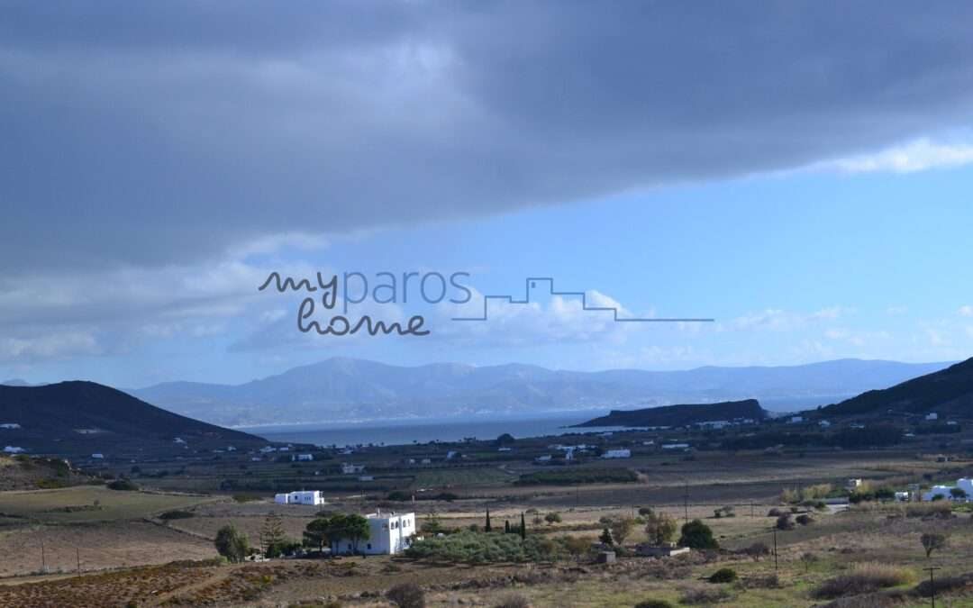 Γ 437   ΑΓΡΟΤΕΜΑΧΙΟ ΣΤΗΝ ΘΕΣΗ ΠΡΟΔΡΟΜΜΟΣ ΠΑΡΟΥ .