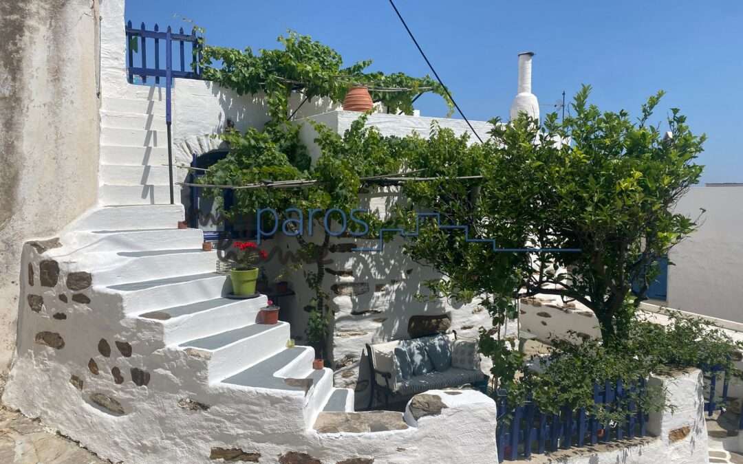 Α 232  ΕΤΟΙΜΟΠΑΡΑΔΟΤΗ ΠΕΤΡΙΝΗ  ΚΑΤΟΙΚΙΑ ΣΤΙΣ ΛΕΥΚΕΣ ΠΑΡΟΣ.