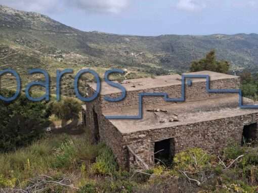 Γ 454    ΑΓΡΟΤΕΜΑΧΙΟ ΣΤΗΝ ΘΕΣΗ ‘’7 ΒΡΥΣΕΣ’’ΛΕΥΚΩΝ ΠΑΡΟΥ