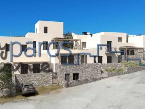Α 243  ΝΕΟΔΜΗΤΗ ΜΕΖΟΝΕΤΑ ΣΤΙΣ ΛΕΥΚΕΣ –ΠΑΡΟΣ