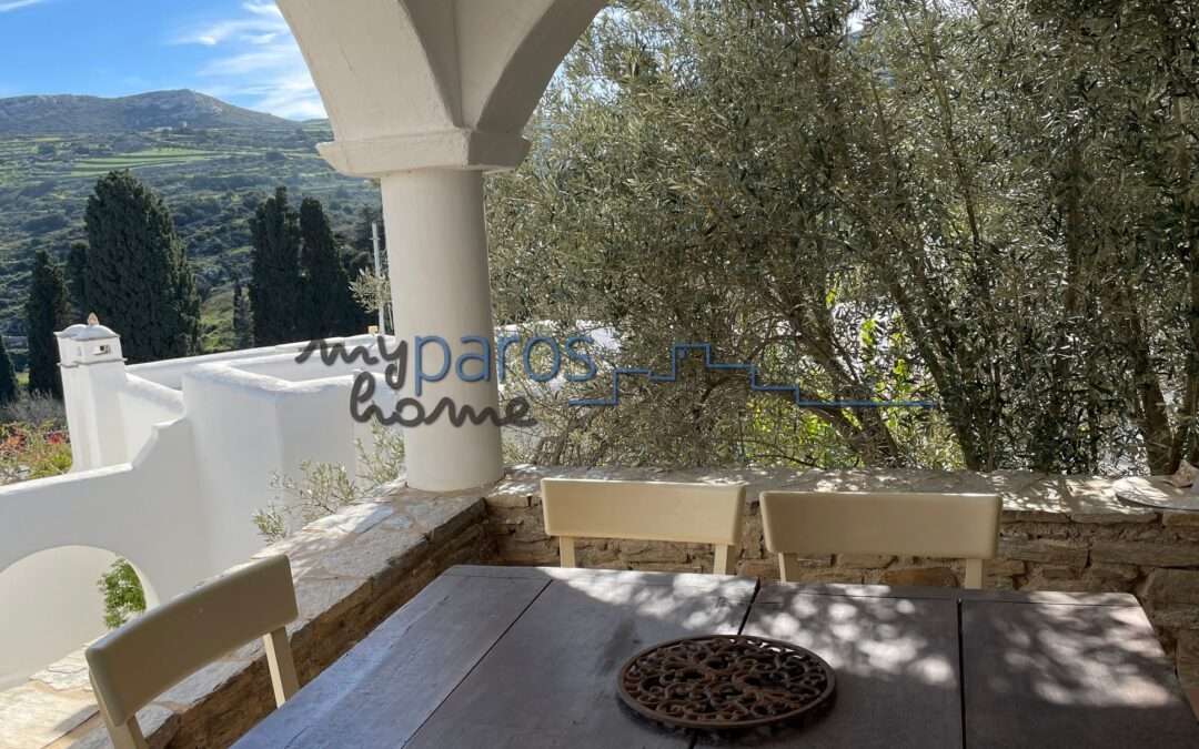 A 238 ETOIΜΟΠΑΡΑΔΟΤΗ ΠΕΤΡΙΝΗ ΜΕΖΟΝΕΤΑ ΣΤΙΣ ΛΕΥΚΕΣ ΠΑΡΟΣ