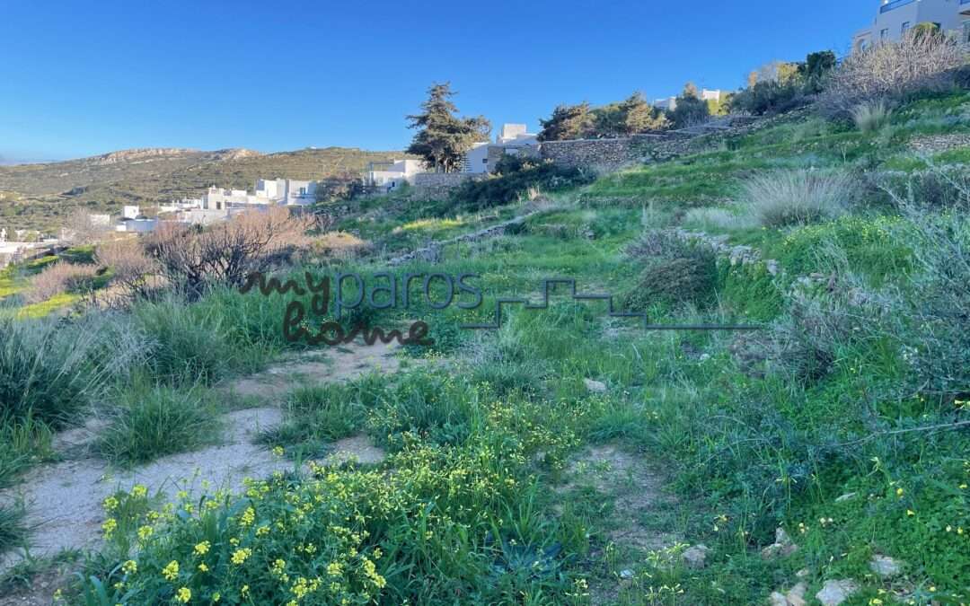 Β 273   ΟΙΚΟΠΕΔΟ ΕΝΤΟΣ ΟΙΚΙΣΜΟΥ ΛΕΥΚΩΝ –ΠΑΡΟΥ