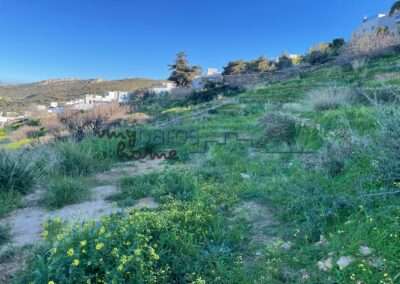 Β 273   ΟΙΚΟΠΕΔΟ ΕΝΤΟΣ ΟΙΚΙΣΜΟΥ ΛΕΥΚΩΝ –ΠΑΡΟΥ