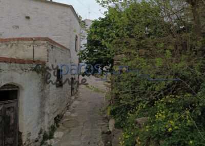Narrow stone alleyway in a sunny village, white plaster walls on left and lush green shrubs on the right with yellow flowers in bloom