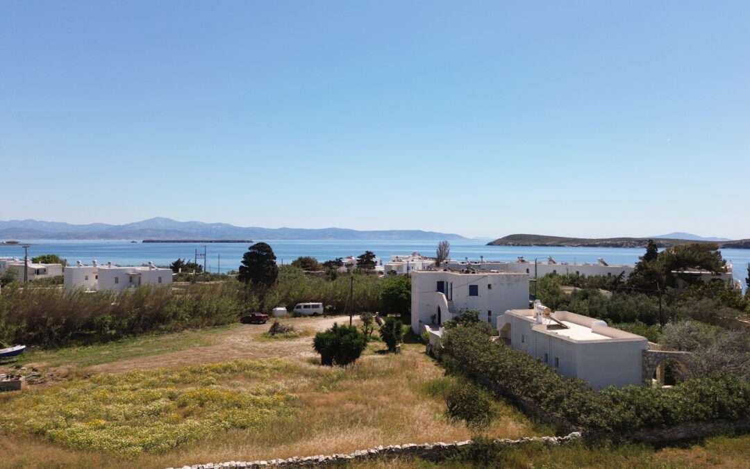 B 240  ΟΙΚΟΠΕΔΟ ΕΝΤΟΣ ΟΙΚΙΣΜΟΥ ΔΡΥΟΥ .