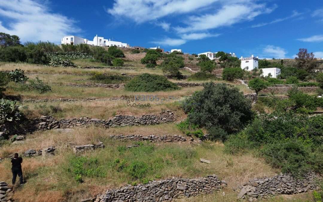 Β 274  ΟΙΚΟΠΕΔΟ ΕΝΤΟΣ ΟΙΚΙΣΜΟΥ ΛΕΥΚΩΝ ΠΑΡΟΣ