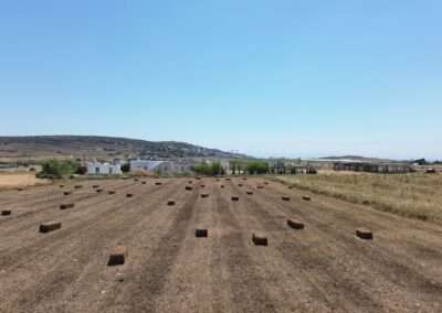 Γ 459  ΑΓΡΟΤΕΜΑΧΙΟ ΣΤΗΝ ΘΕΣΗ ‘’ΣΤΑΥΡΟΣ’’ΚΩΣΤΟΣ ΠΑΡΟΣ