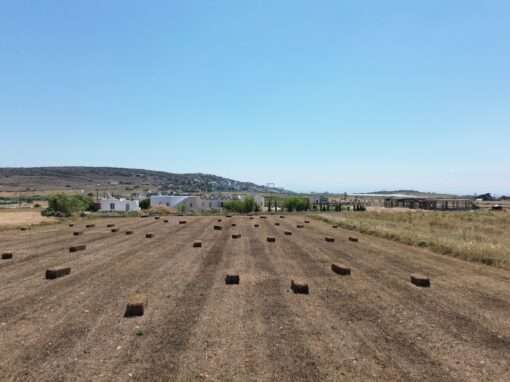 Γ 459  ΑΓΡΟΤΕΜΑΧΙΟ ΣΤΗΝ ΘΕΣΗ ‘’ΣΤΑΥΡΟΣ’’ΚΩΣΤΟΣ ΠΑΡΟΣ