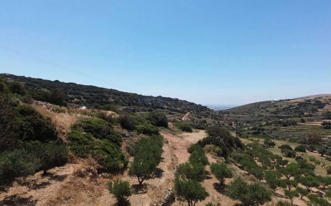 Γ 460 ΑΓΡΟΤΕΜΑΧΙΟ ΣΤΗΝ ΘΕΣΗ ”ΚΑΜΙΝΙΑ” ΚΩΣΤΟΣ ΜΕ ΠΡΟΕΓΚΡΙΣΗ ΑΔΕΙΑΣ