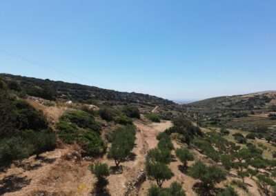 Γ 460 ΑΓΡΟΤΕΜΑΧΙΟ ΣΤΗΝ ΘΕΣΗ ”ΚΑΜΙΝΙΑ” ΚΩΣΤΟΣ ΜΕ ΠΡΟΕΓΚΡΙΣΗ ΑΔΕΙΑΣ