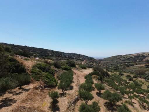 Γ 460 ΑΓΡΟΤΕΜΑΧΙΟ ΣΤΗΝ ΘΕΣΗ ”ΚΑΜΙΝΙΑ” ΚΩΣΤΟΣ ΜΕ ΠΡΟΕΓΚΡΙΣΗ ΑΔΕΙΑΣ