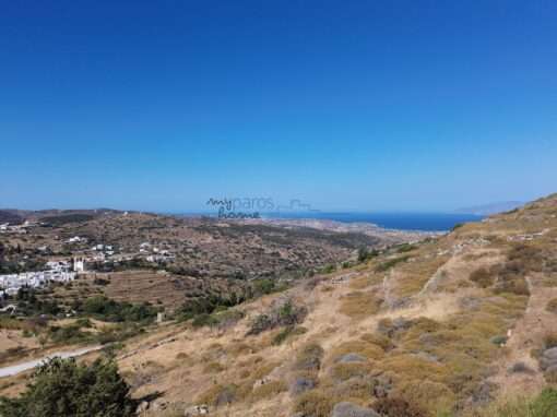 Γ352  ΑΓΡΟΤΕΜΑΧΙΟ ΣΤΗΝ ΘΕΣΗ ΄΄ΚΑΤΗΦΟΡΑ΄΄ΛΕΥΚΕΣ ΠΑΡΟΣ