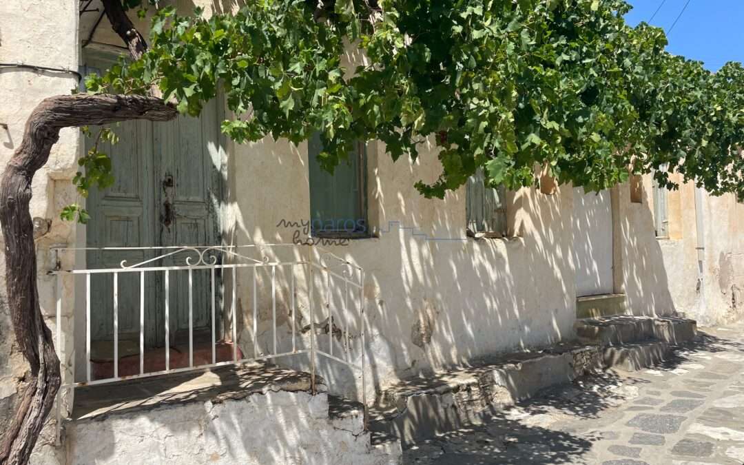 Α113  ΠΕΤΡΙΝΗ ΙΣΟΓΕΙΑ  ΠΑΡΑΔΟΣΙΑΚΗ ΚΑΤΟΙΚΙΑ ΛΕΥΚΕΣ ΠΑΡΟΣ