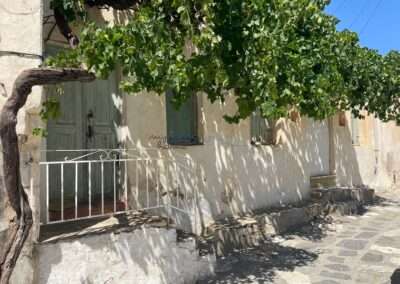 Α113  ΠΕΤΡΙΝΗ ΙΣΟΓΕΙΑ  ΠΑΡΑΔΟΣΙΑΚΗ ΚΑΤΟΙΚΙΑ ΛΕΥΚΕΣ ΠΑΡΟΣ