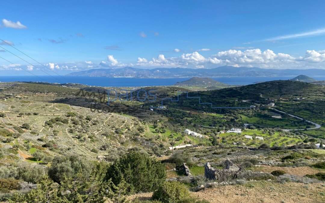 Γ 409  ΑΓΡΟΤΕΜΑΧΙΟ ΣΤΗΝ ΘΕΣΗ ‘’ΚΑΝΝΟΥ’’ ΛΕΥΚΕΣ ΠΑΡΟΣ