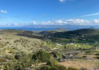 Γ 409  ΑΓΡΟΤΕΜΑΧΙΟ ΣΤΗΝ ΘΕΣΗ ‘’ΚΑΝΝΟΥ’’ ΛΕΥΚΕΣ ΠΑΡΟΣ