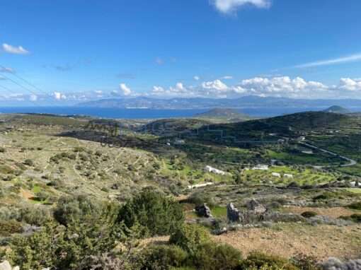 Γ 409  ΑΓΡΟΤΕΜΑΧΙΟ ΣΤΗΝ ΘΕΣΗ ‘’ΚΑΝΝΟΥ’’ ΛΕΥΚΕΣ ΠΑΡΟΣ